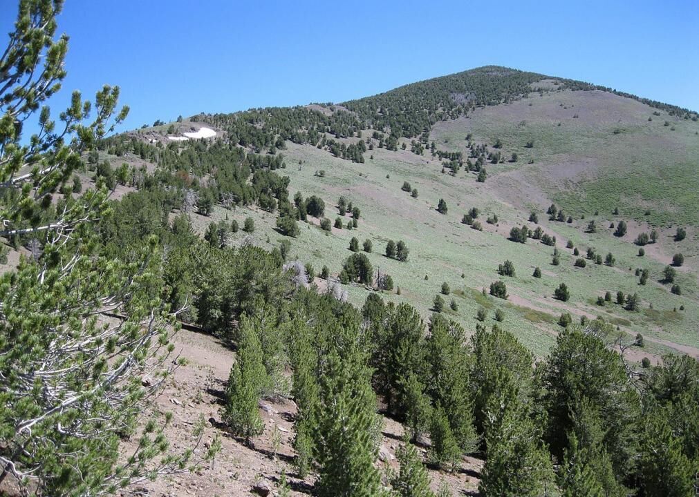 #6. Modoc County